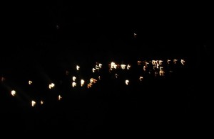 IMG_5563.JPG